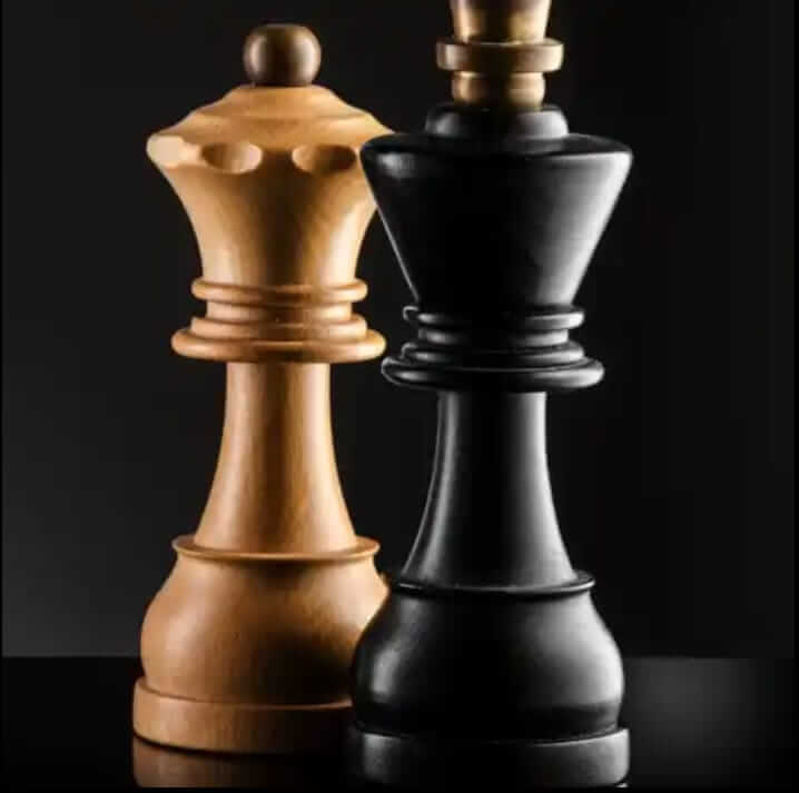 magnus chess academy mod apk